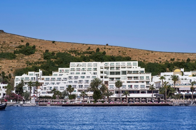 Genel Görünüm